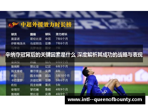 辛纳夺冠背后的关键因素是什么 深度解析其成功的战略与表现